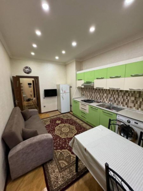 Cozy Apartment in COP 29